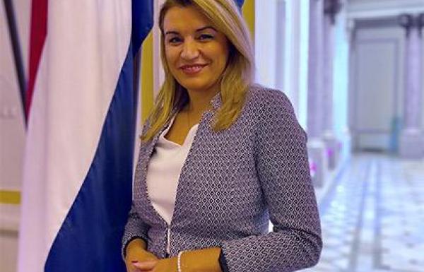 Брняц, Николина
